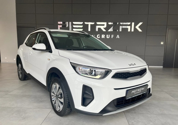 Kia Stonic cena 85900 przebieg: 24453, rok produkcji 2023 z Toruń małe 232